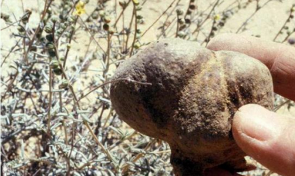 有個(gè)國(guó)家很小，卻足而讓人仰視，這便是以色列！